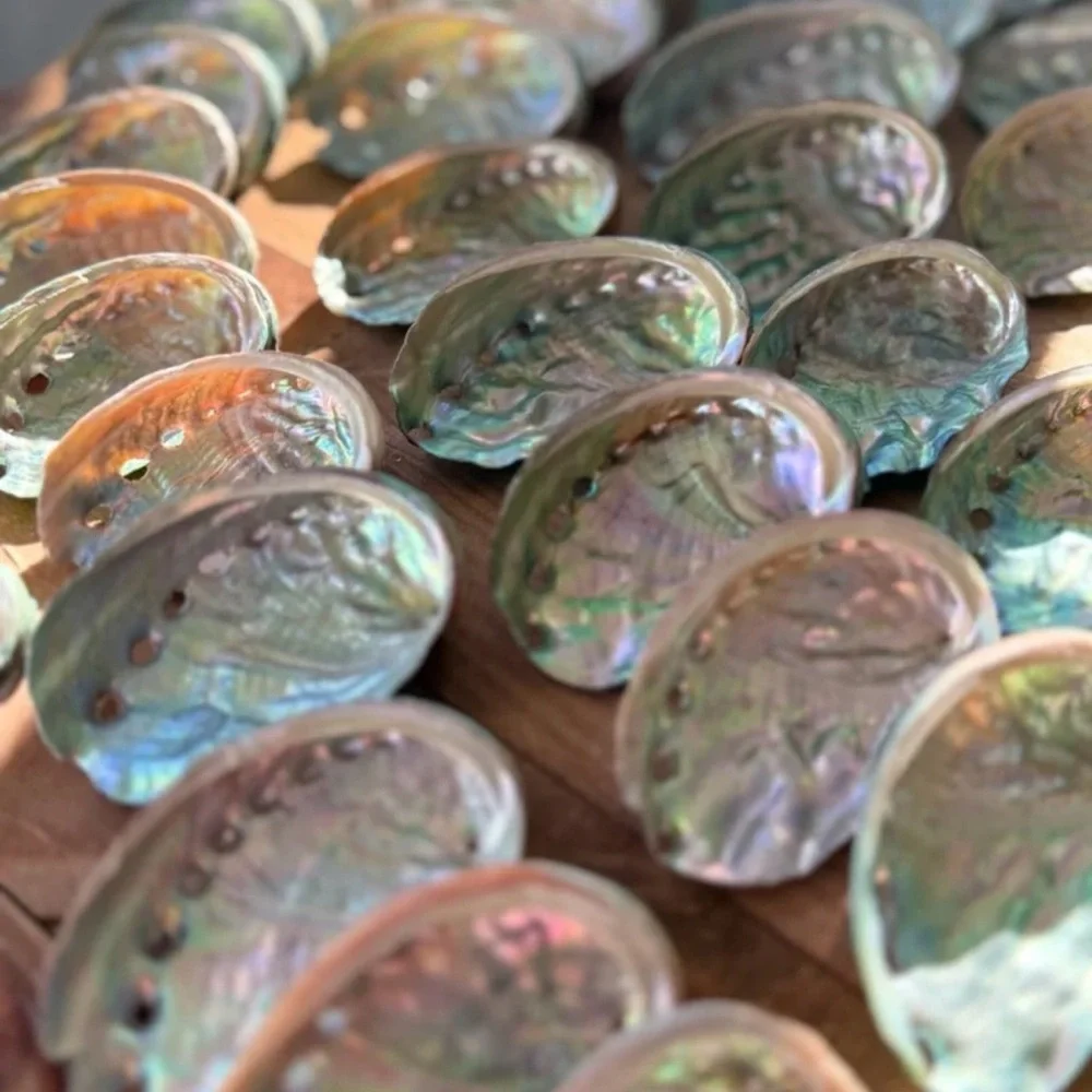 Real ABALONE Shells Polished Nautical DIY Crafting Decor Coastal Mixed Bulk lot
